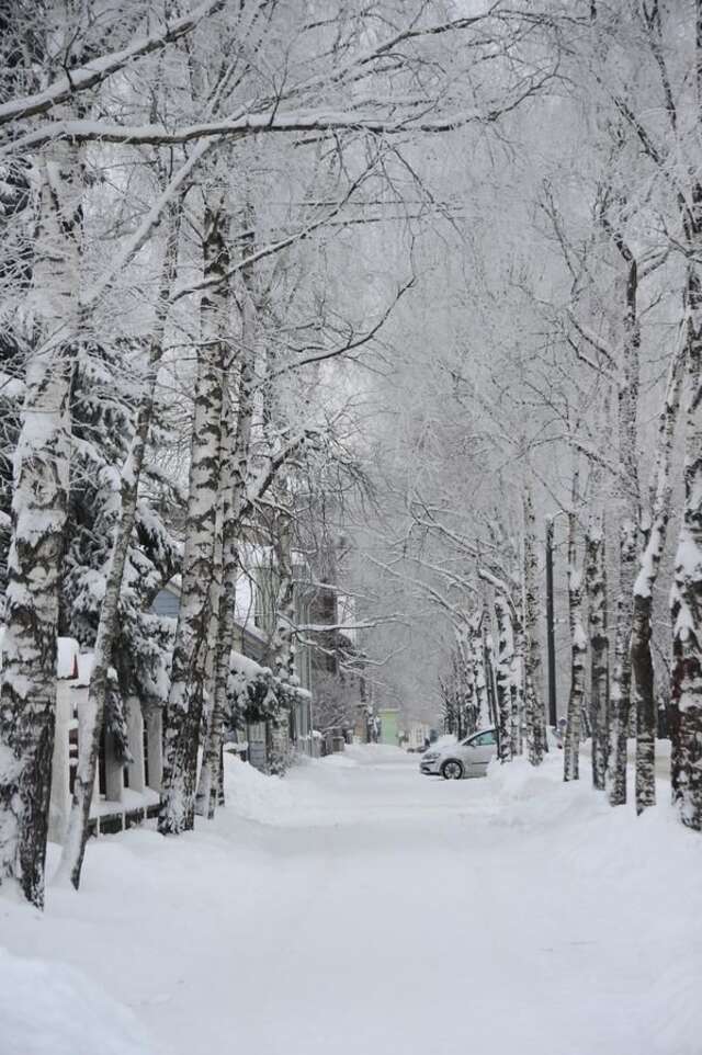 Отель Hotel Villa Wesset Пярну-35